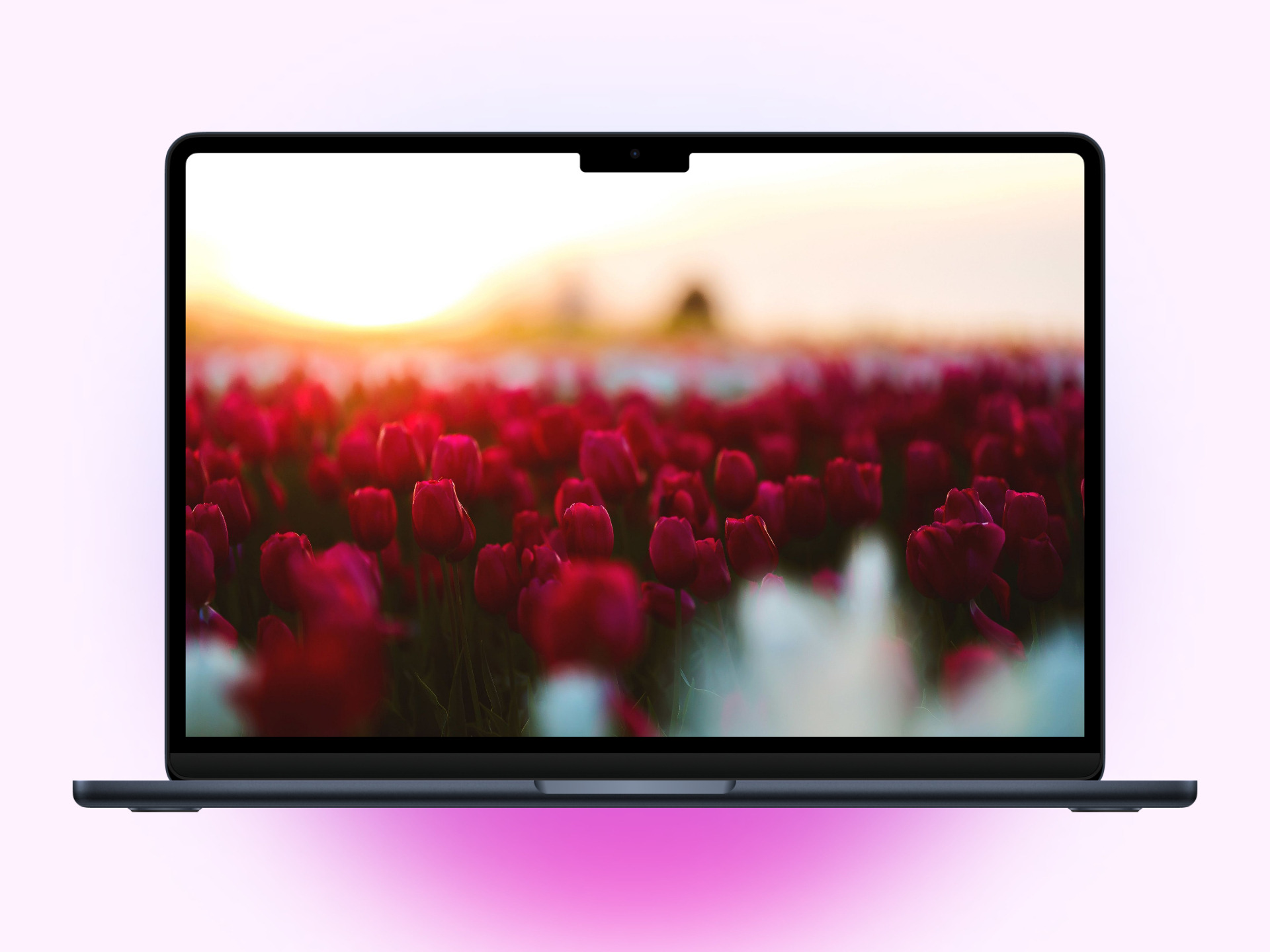 Aesthetic spring MacBook Wallpaper.