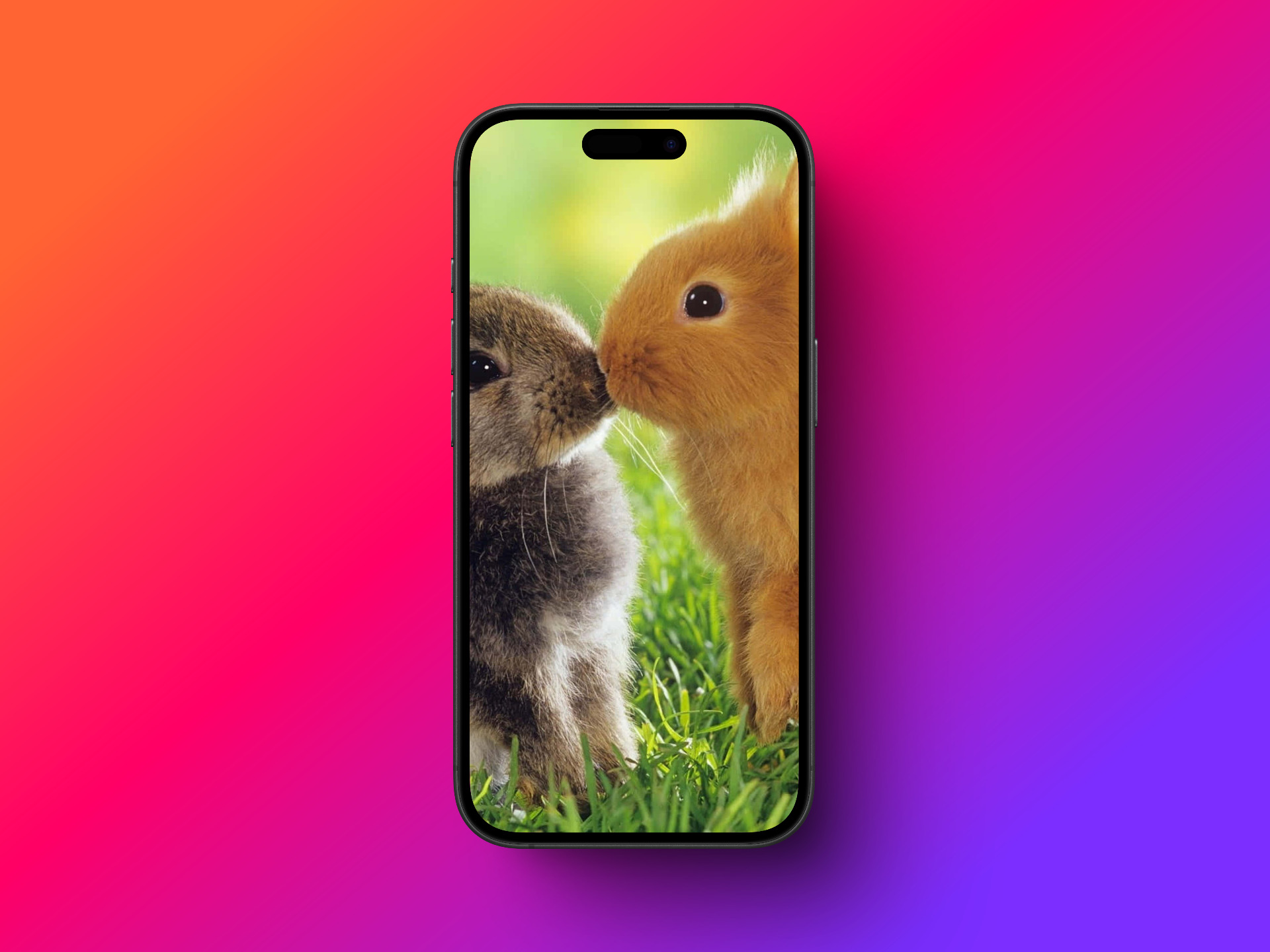 Easter Bunny Wallpaper.