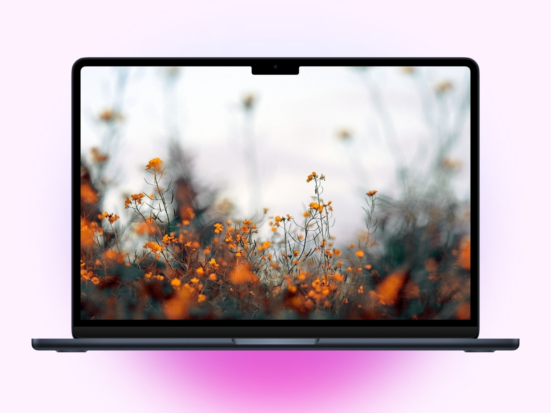 Macbook Autumn Aesthetic Wallpaper.