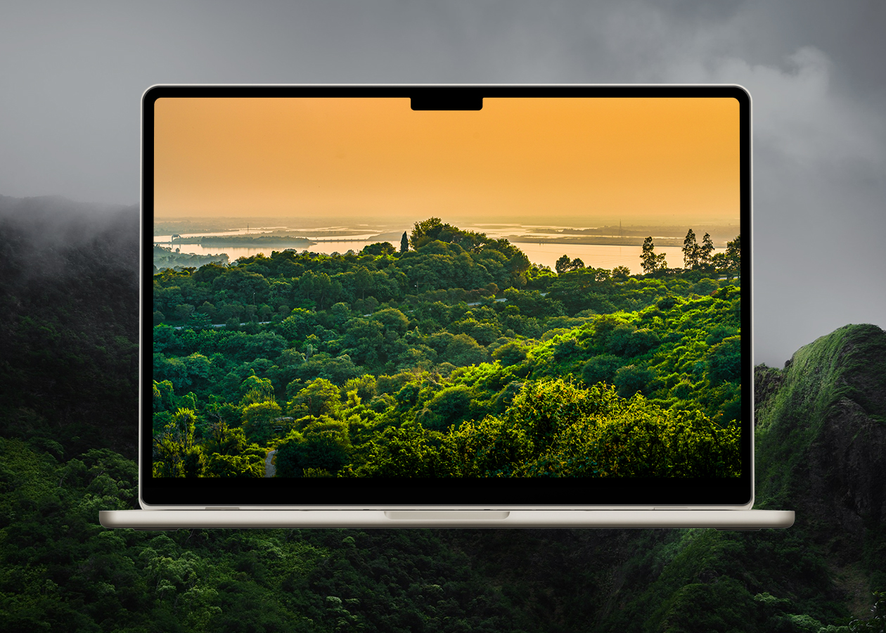 Golden sunset over green jungle