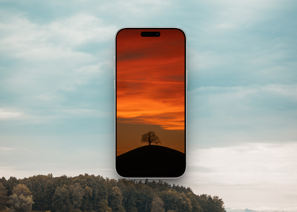 Lone tree on a hilltop