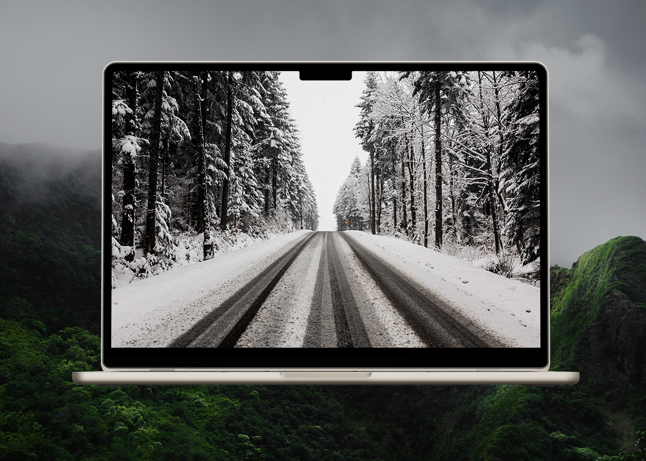 Winter road in forest