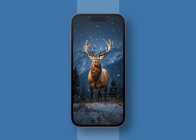 Beautiful reindeer christmas wallpaper Beautiful Reindeer Christmas wallpaper
